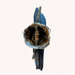 whispers-of-the-shore-2