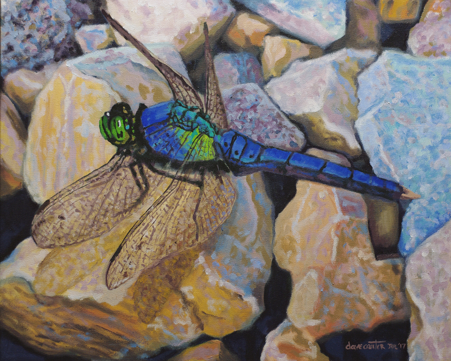 blue-green-dragonfly