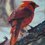 male-cardinal