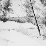 black-and-white-trees