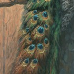 peacock-eyes-to-the-stars-painting-art-acrylic-feathers-tail-lanie-frick-artist
