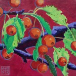 cerise-and-crabapples