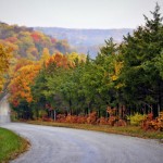 fall_on_foxhollow_road-bomh2