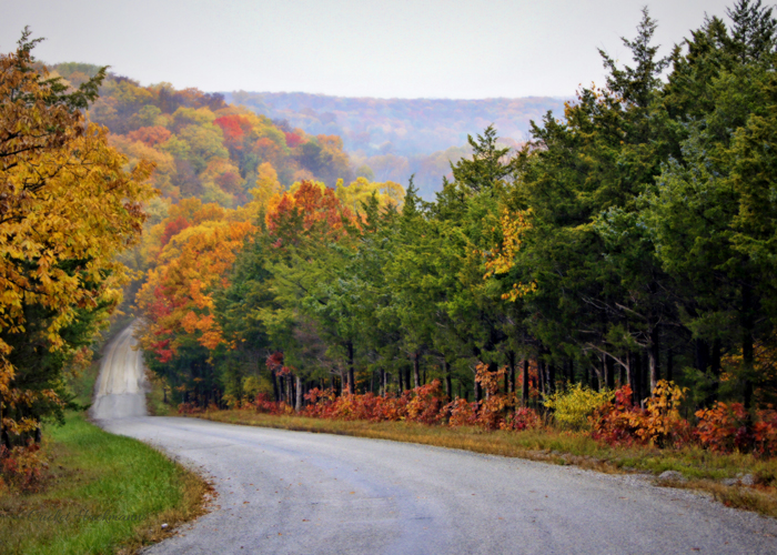fall_on_foxhollow_road-bomh2
