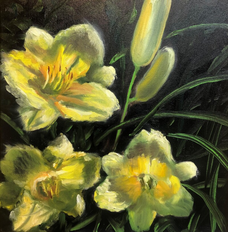 day-lillies-yellow