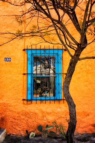 house-in-the-tucson-bario-dsc08626